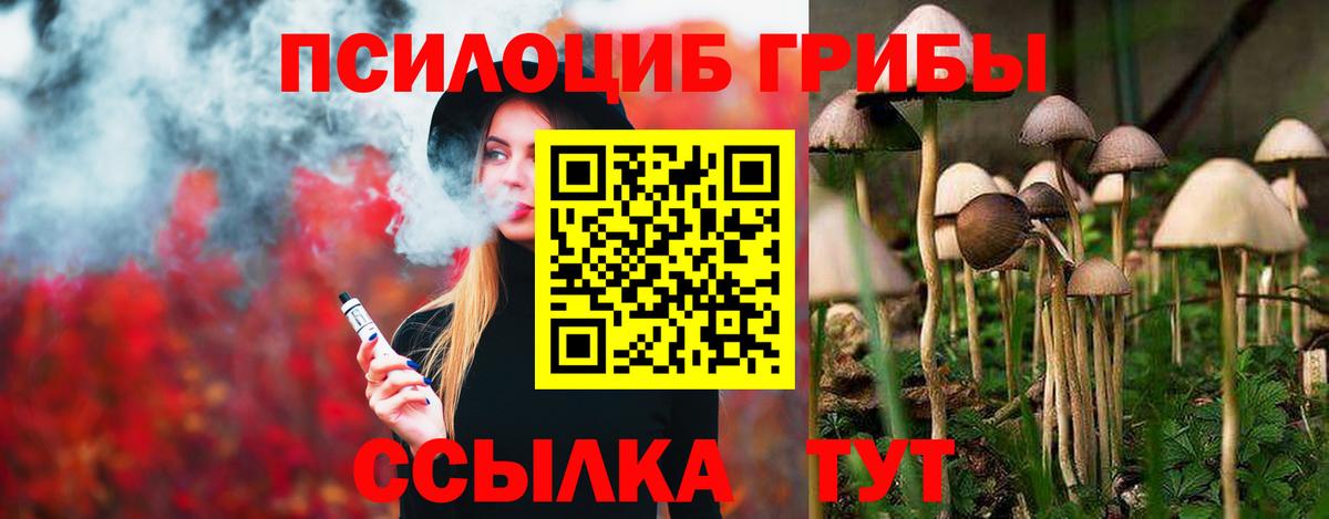 Псилоцибиновые грибы GOLDEN TEACHER  Галлюциногенные грибы прущие грибы  Вход с VPN  Большой Камень 